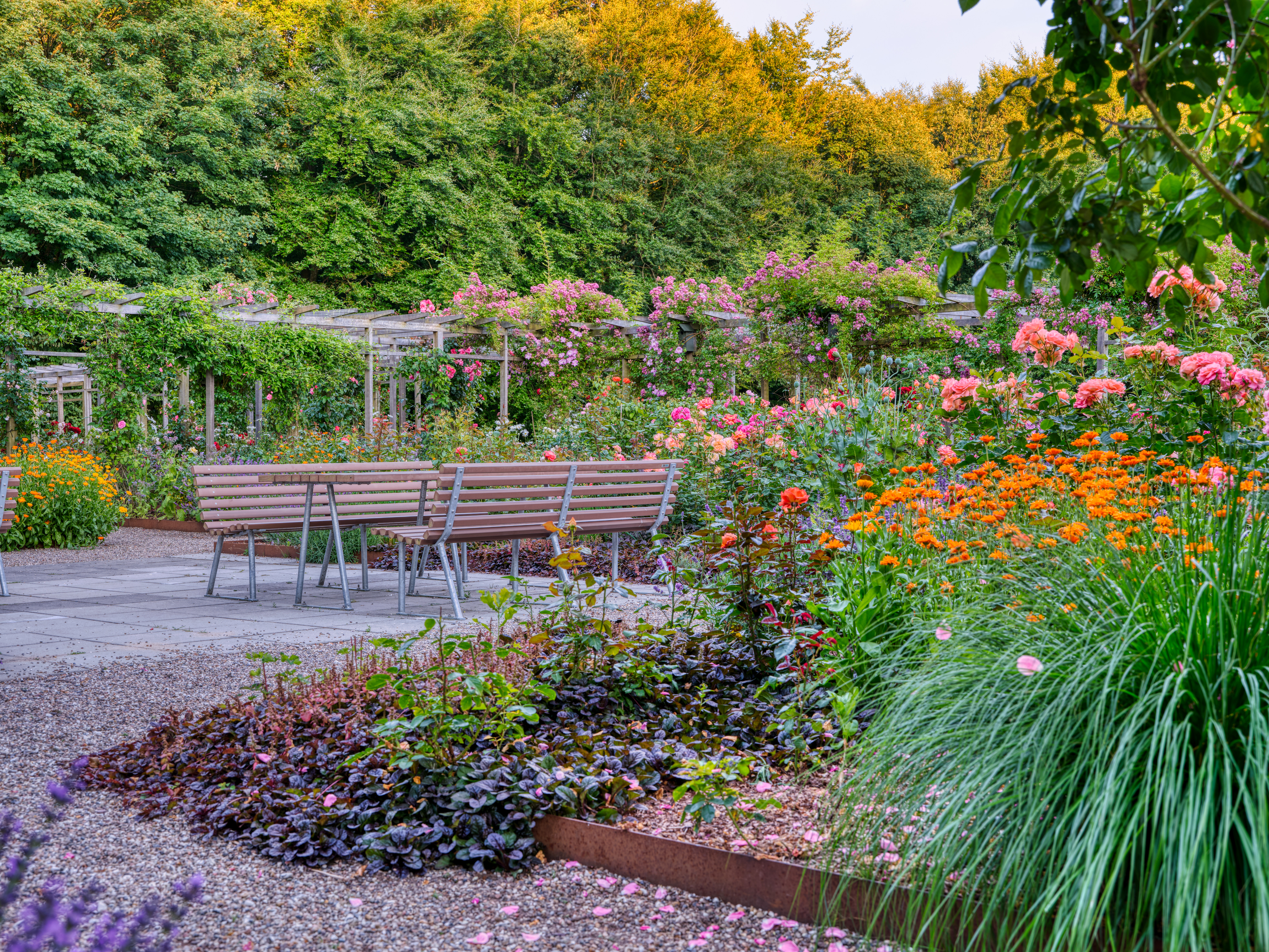 Spisested Rosenparken